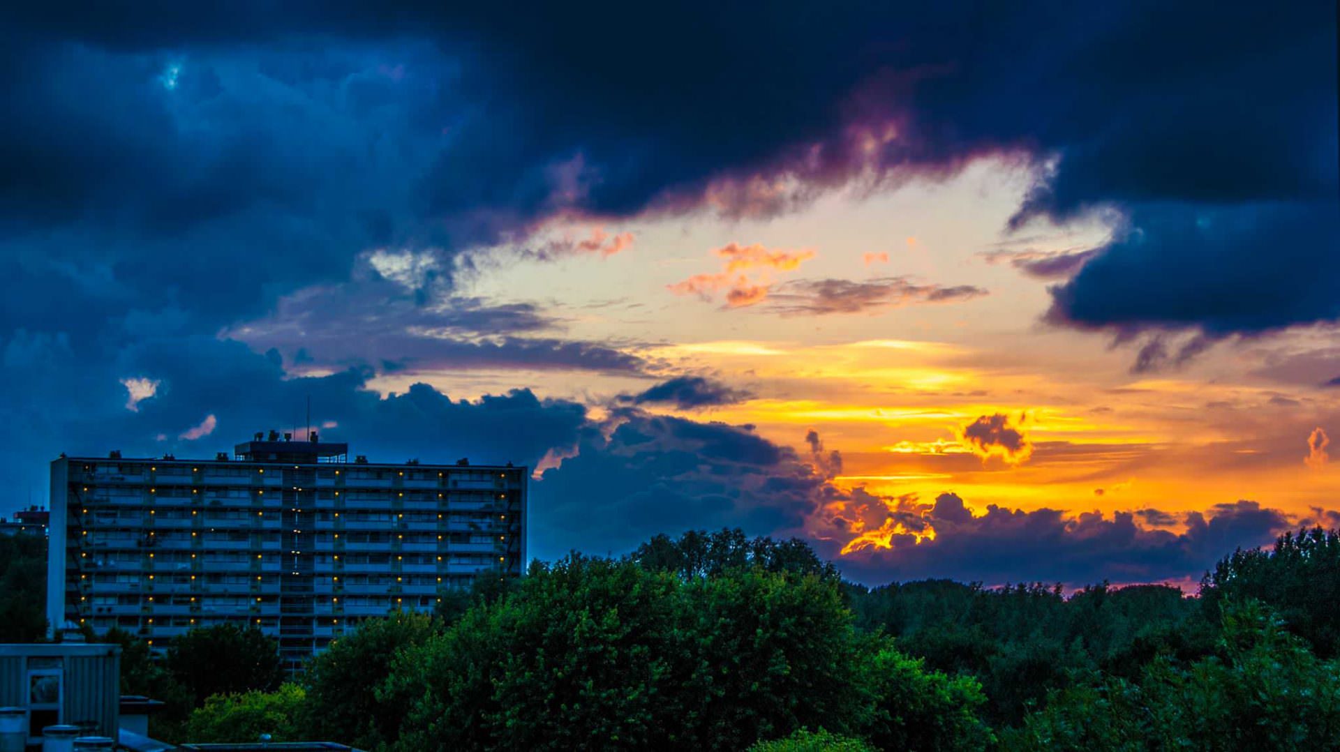 Museumdirecteur Saskia Bak verlaat Leeuwarden