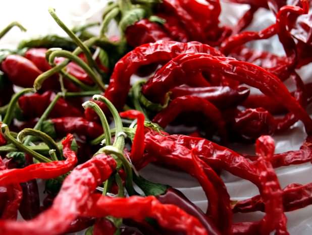 Hete pepers goed voor gezondheid (Yucatan)