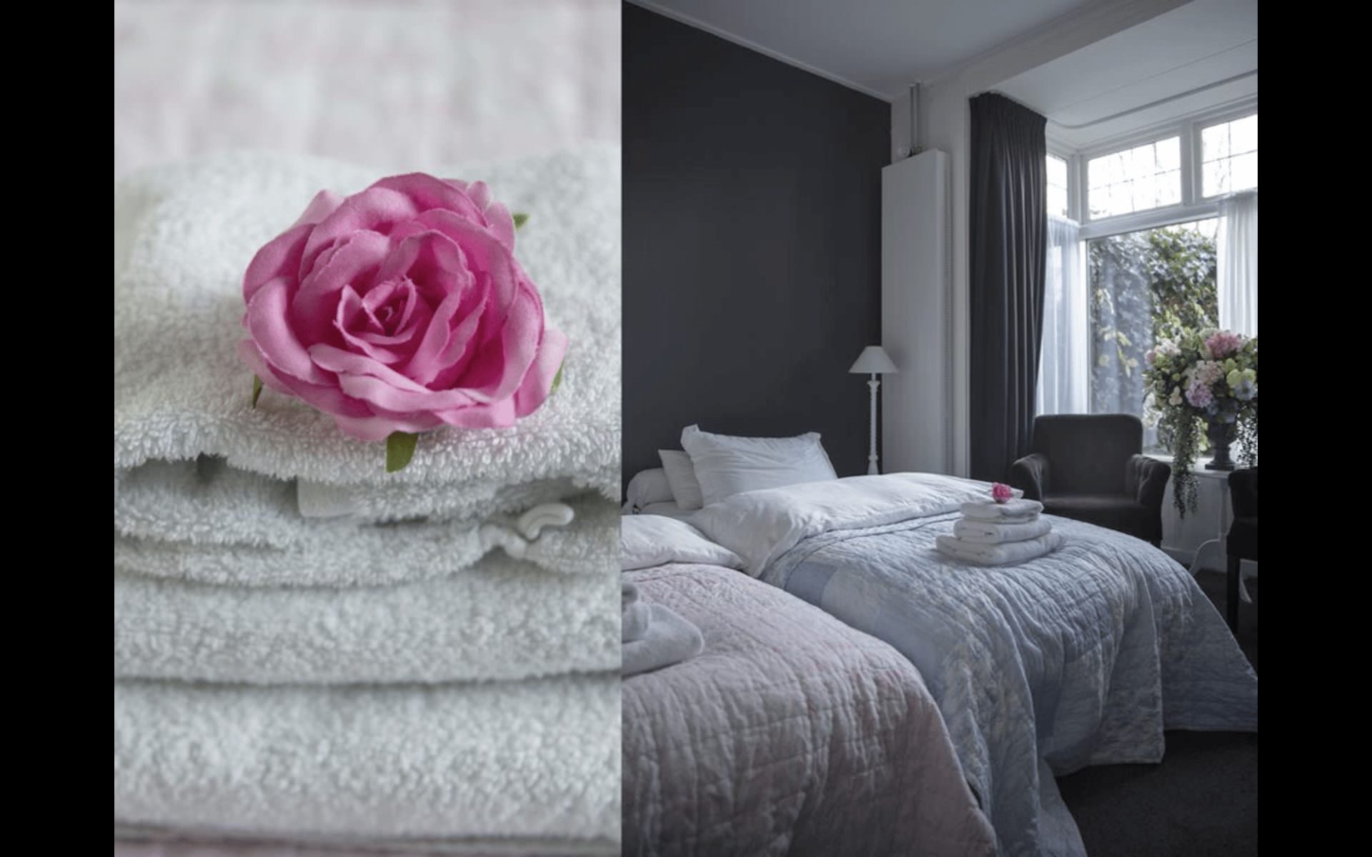 Introductievideo Ster Logies Leeuwarden