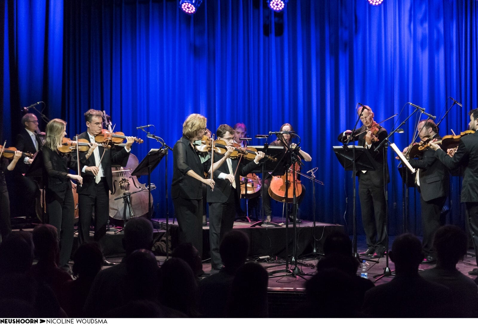 nno leeuwarden neushoorn