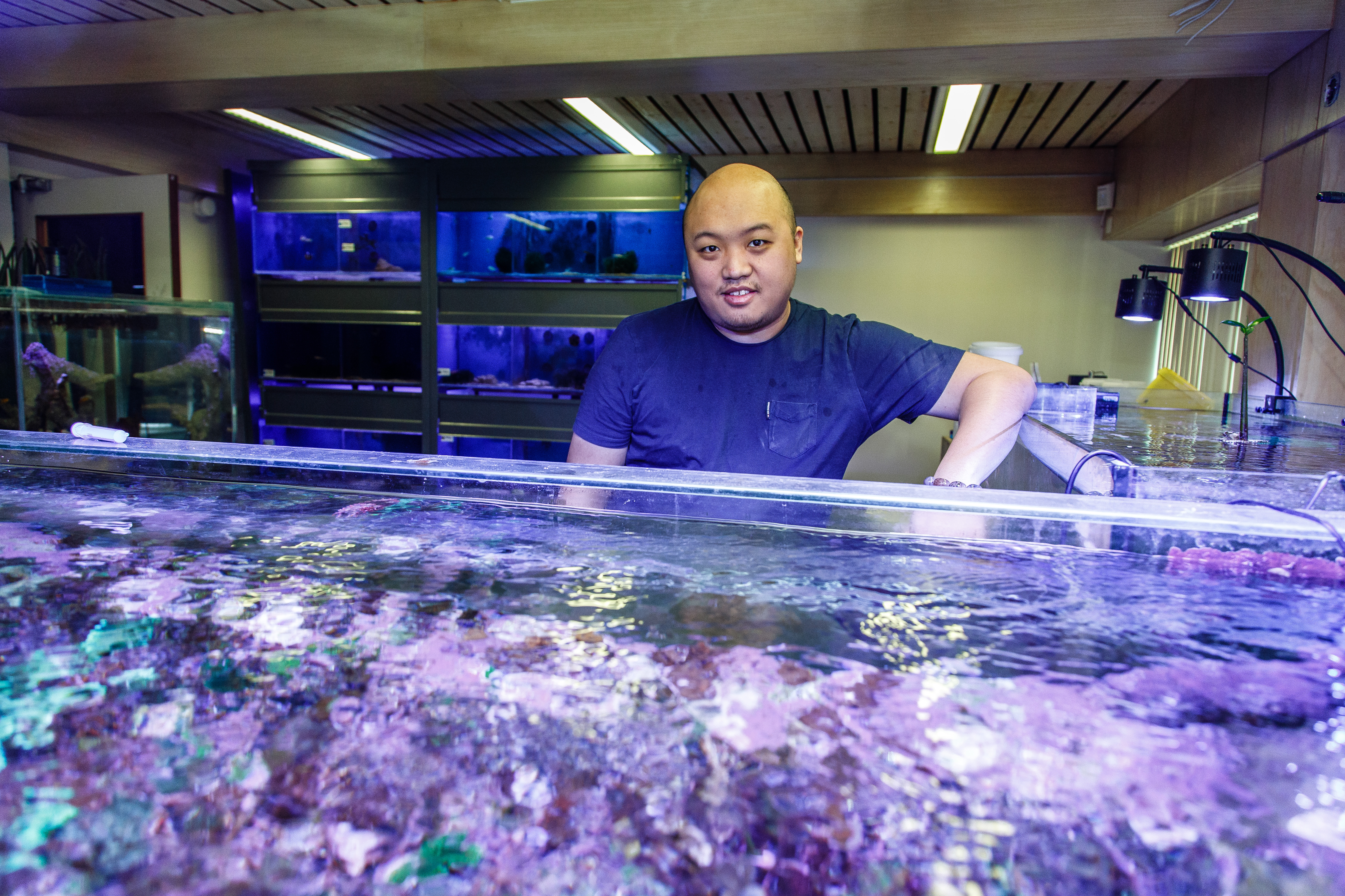 Finding Nemo bij Ocean Art