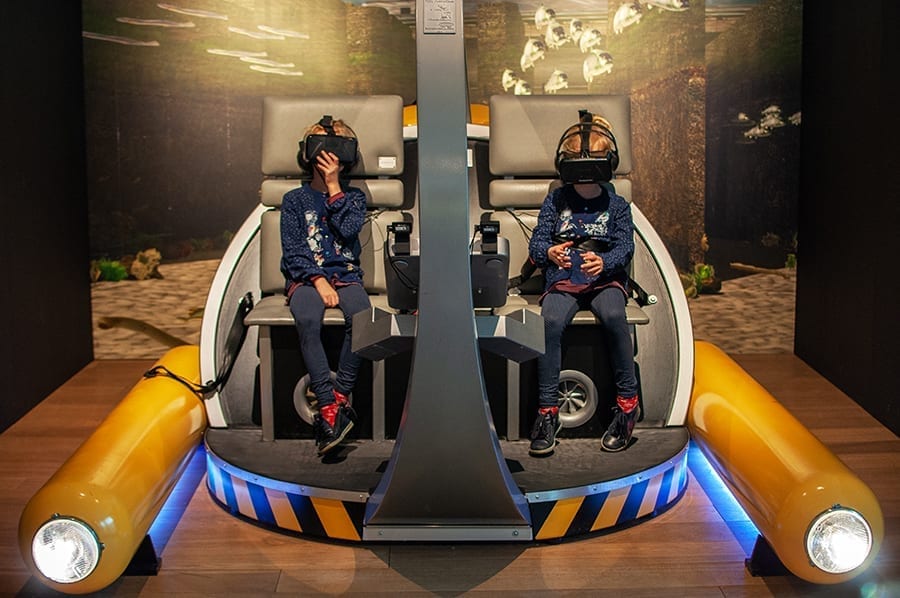 Nieuws van het Natuurmuseum Fryslân