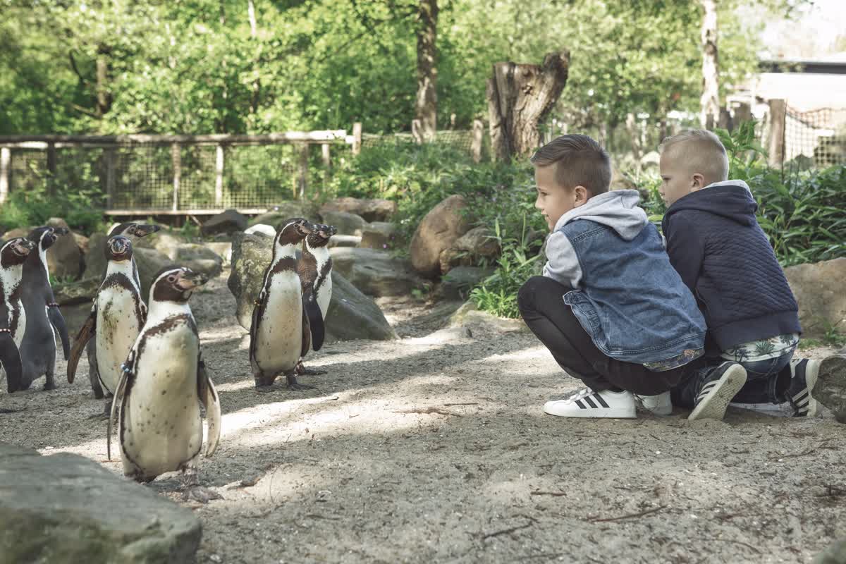 AquaZoo ziet flinke groei in bezoekers