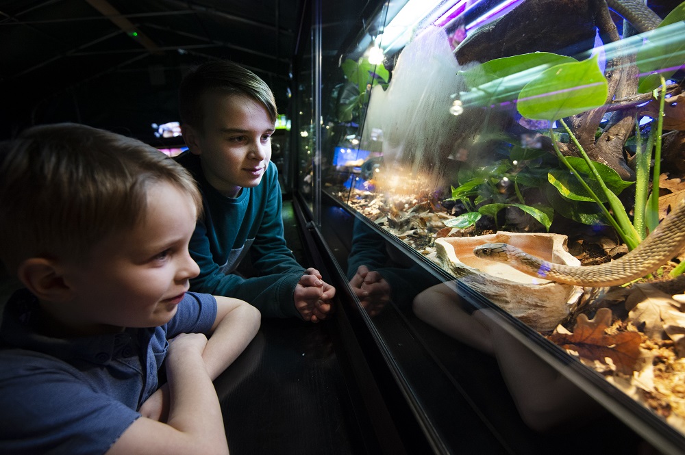 Herfstvakantie in Natuurmuseum Fryslân