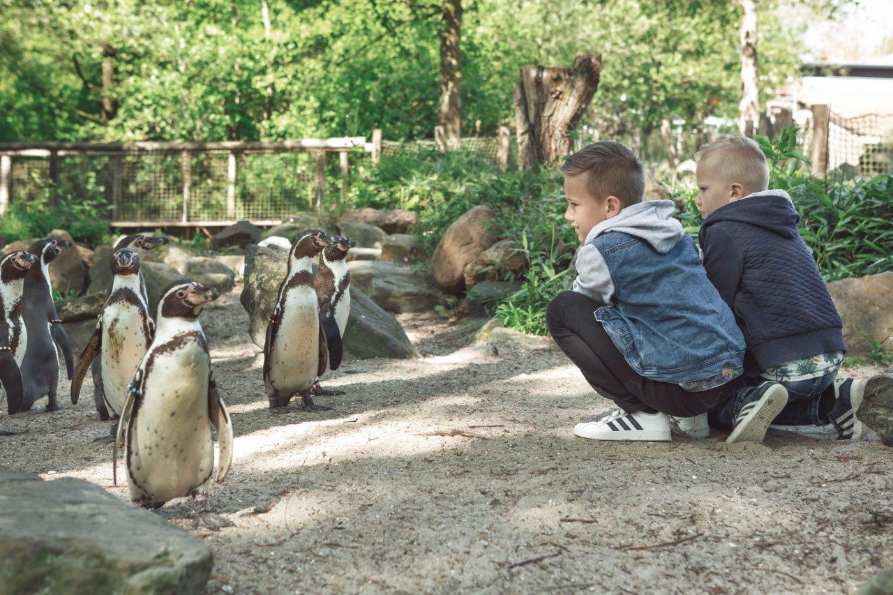 AquaZoo ontvangt gouden award voor ‘Leukste uitje van Friesland 2021’