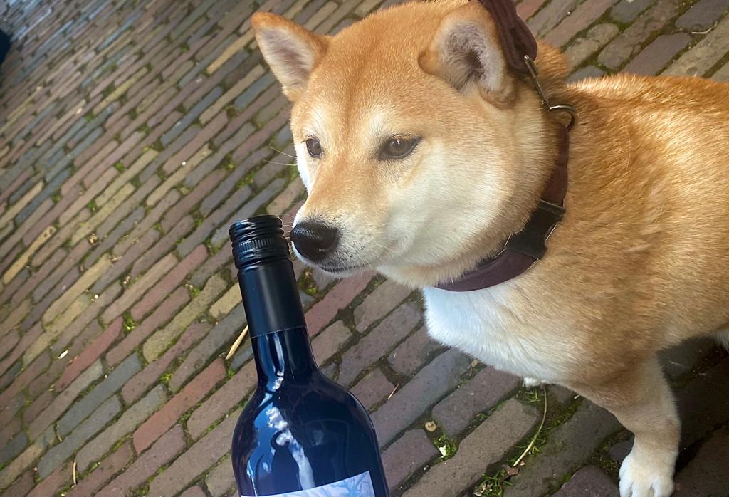 Je kan nu gezellig een avondje borrelen met je trouwe viervoeter