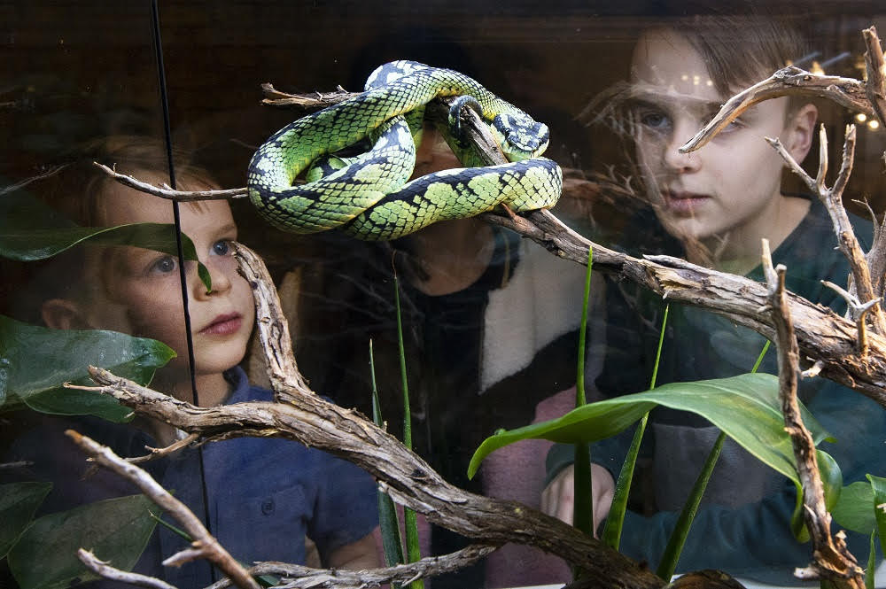 GIF expositie verlengd tot en met 9 januari 2022