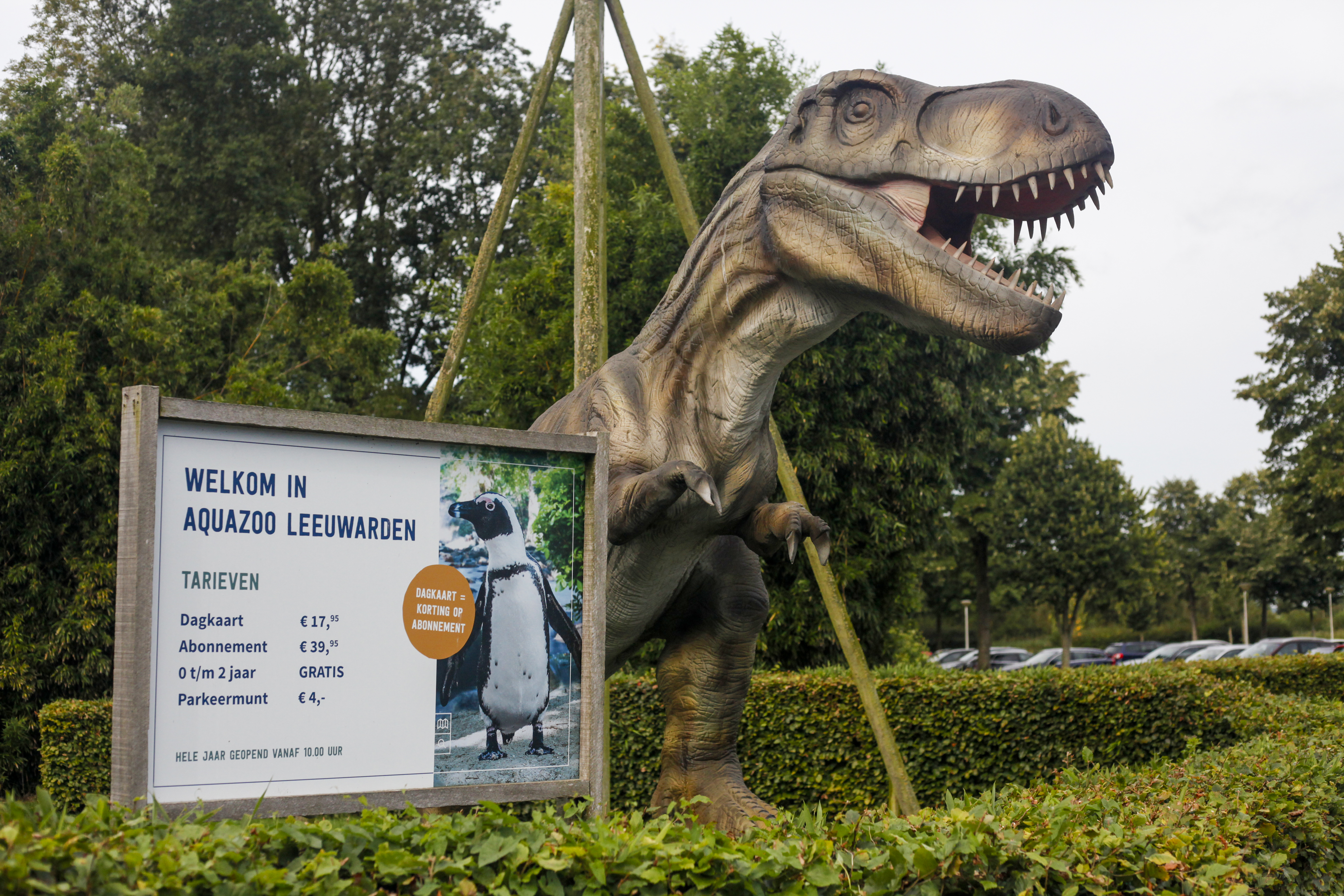 Laatste week dino's in AquaZoo