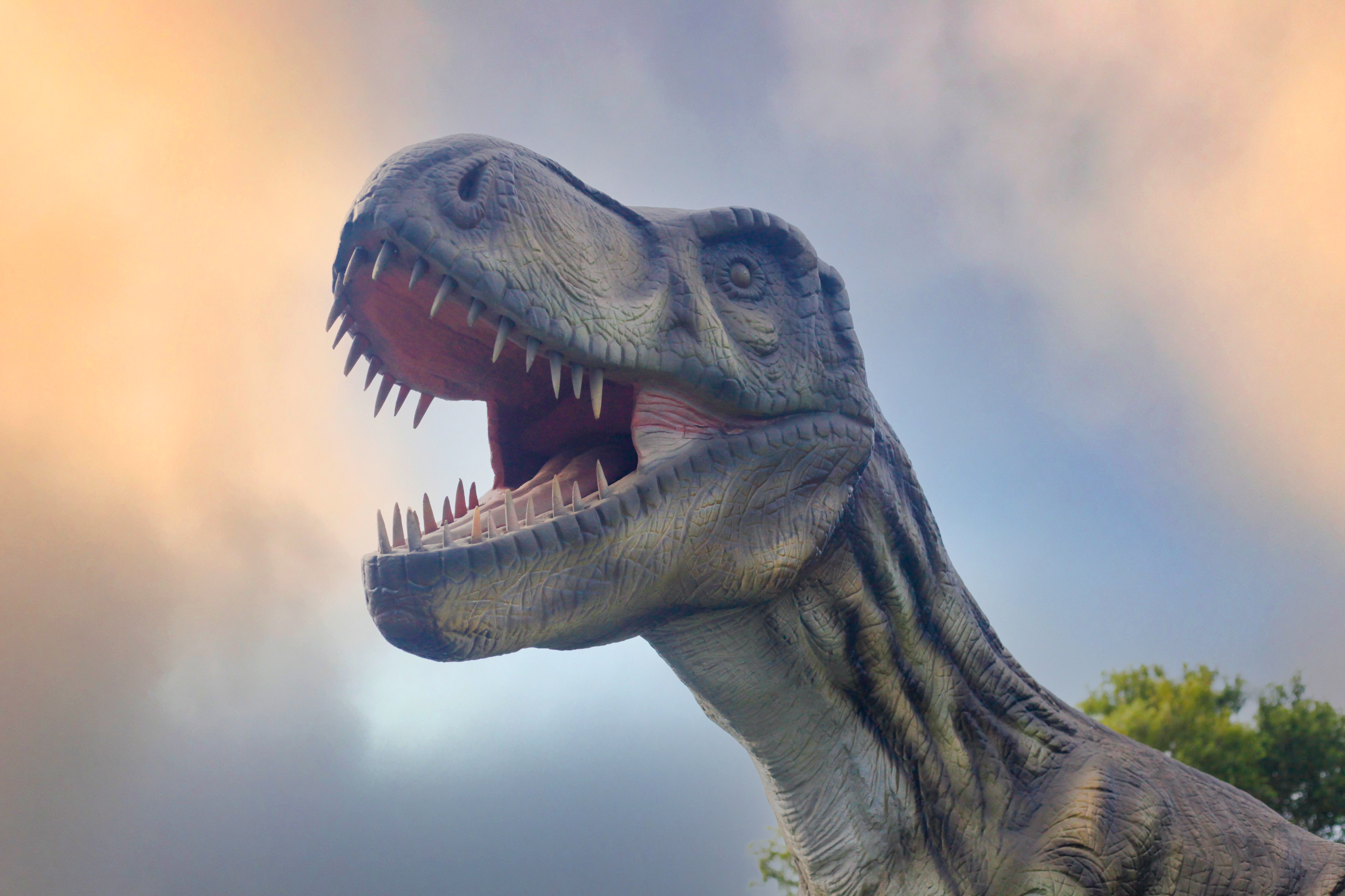 Twintig levensechte dino's vanaf vandaag tijdelijk te zien in AquaZoo