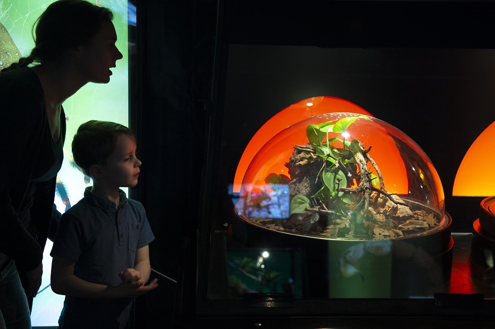 Herfstvakantie in het Natuurmuseum Fryslân