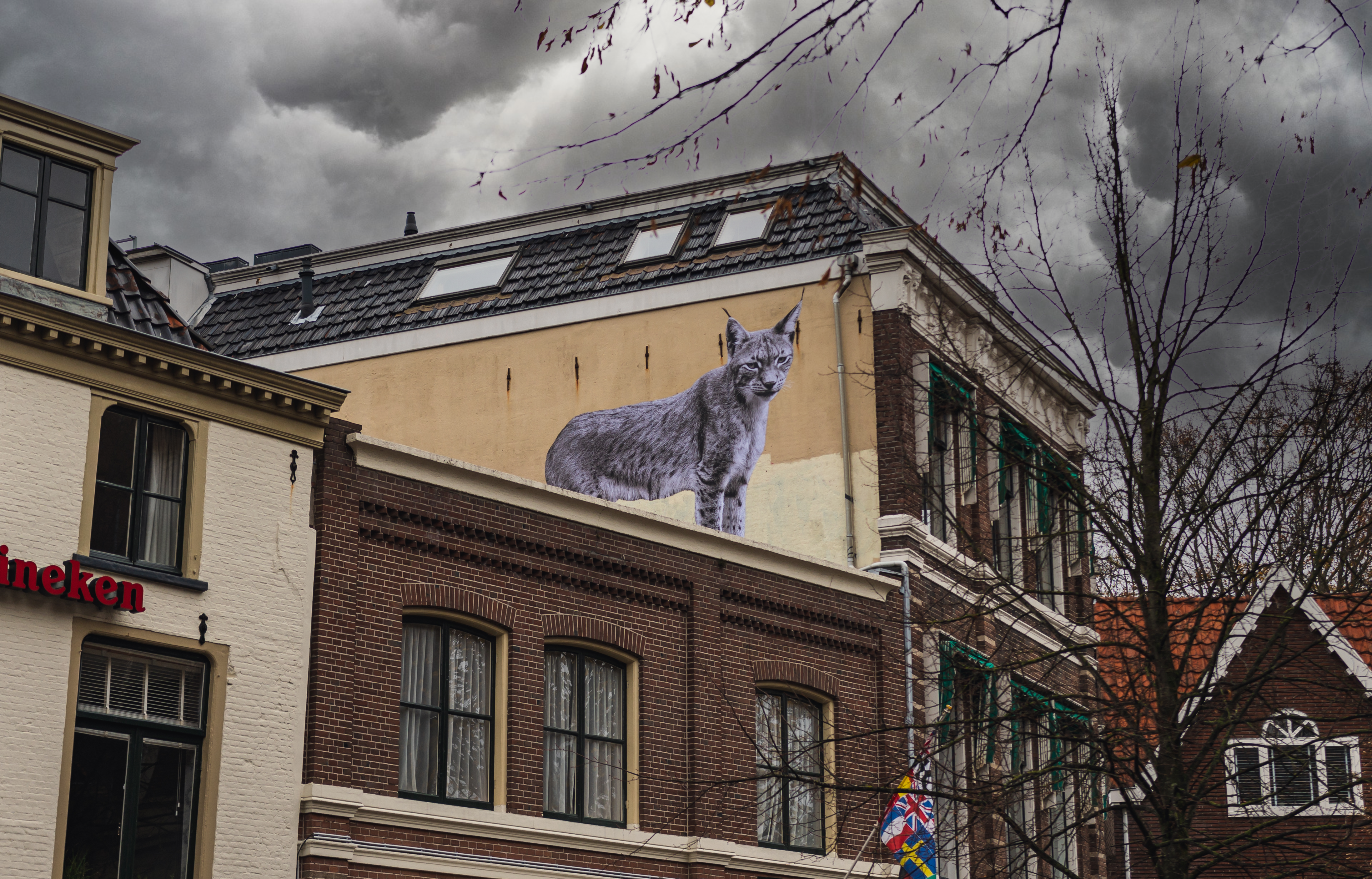 Heb jij de Lynx al gespot op de Eewal?