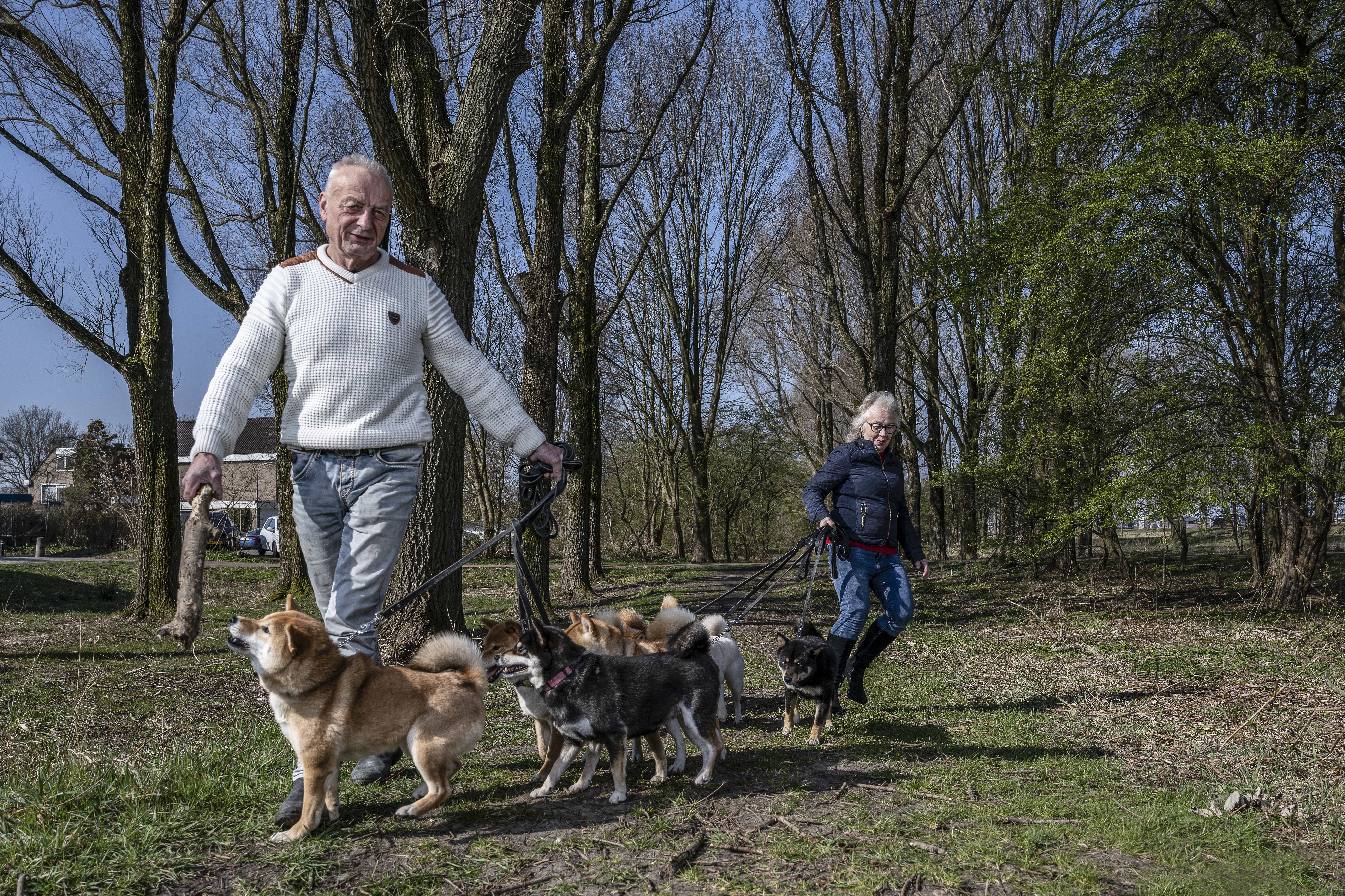 Hondenkennel Astra-Aphrodyte: de beste plek voor je trouwe viervoeter