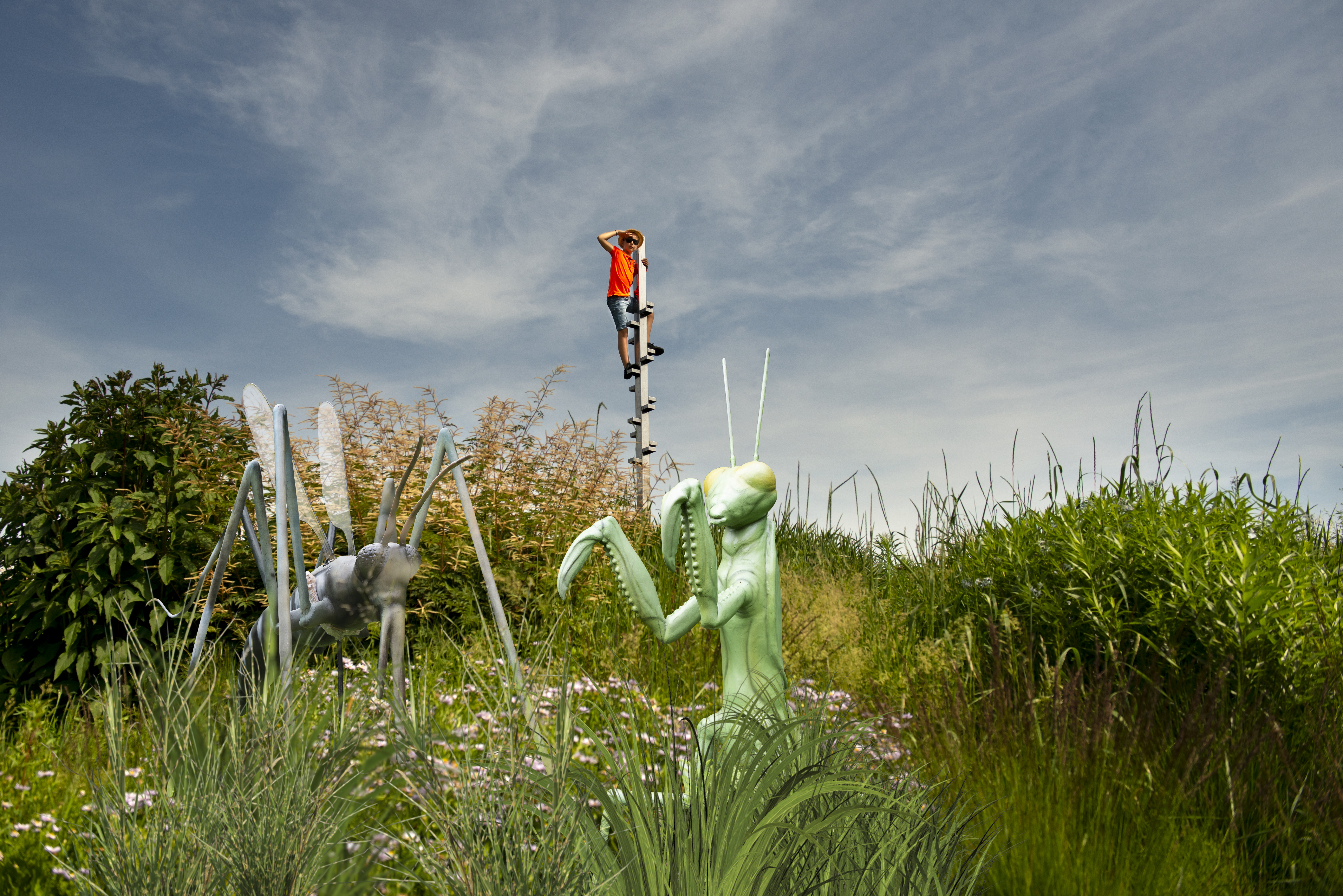 Word deze zomer zo klein als een insect in Park Vijversburg