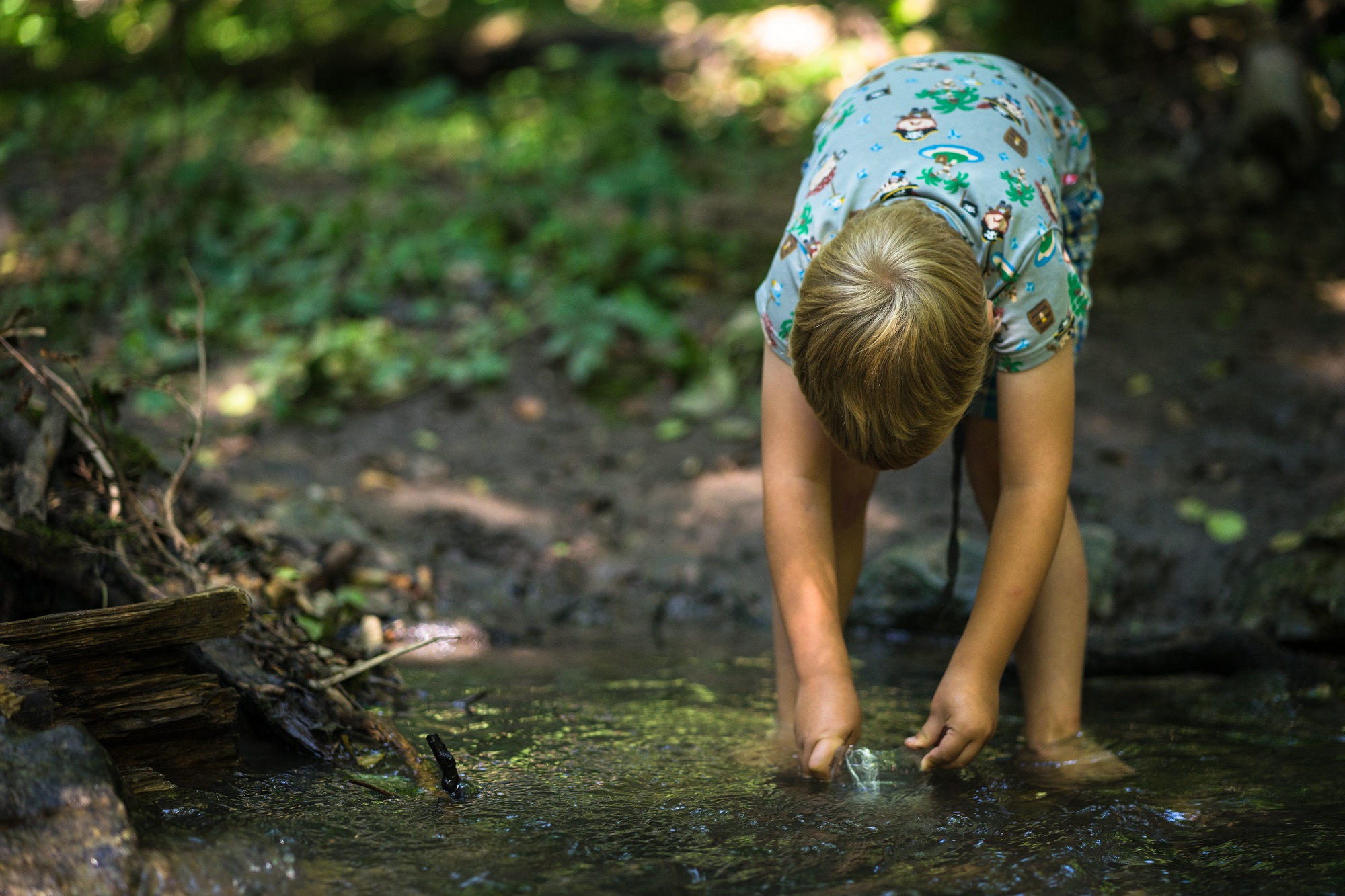 Ga op vogelexcursie en vang waterbeetjes tijdens de Soorten- & Slootjesdag in het Leeuwarder bos