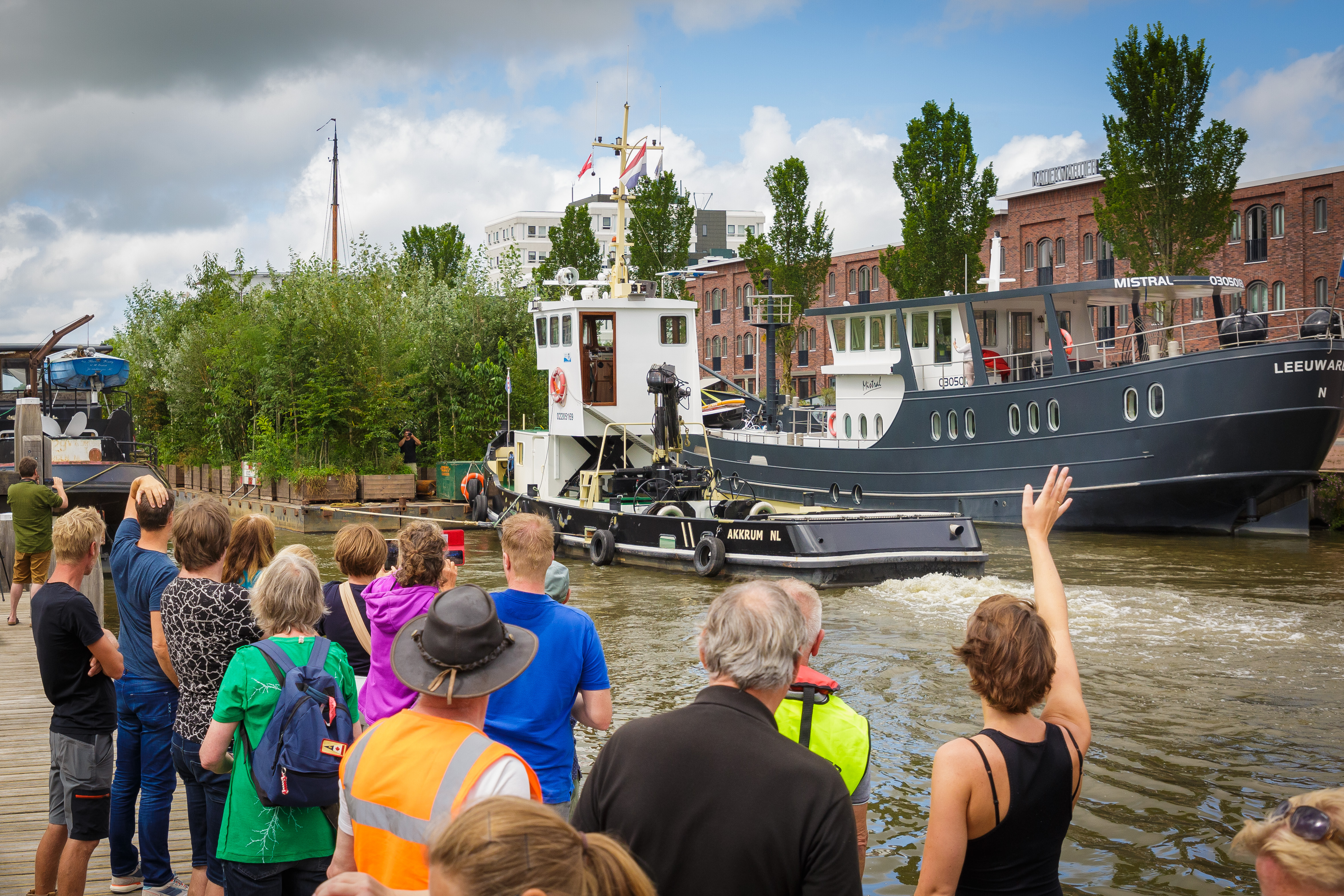 Terugblik: hoe meer dan duizend bomen onze stad honderd dagen prachtiger maken