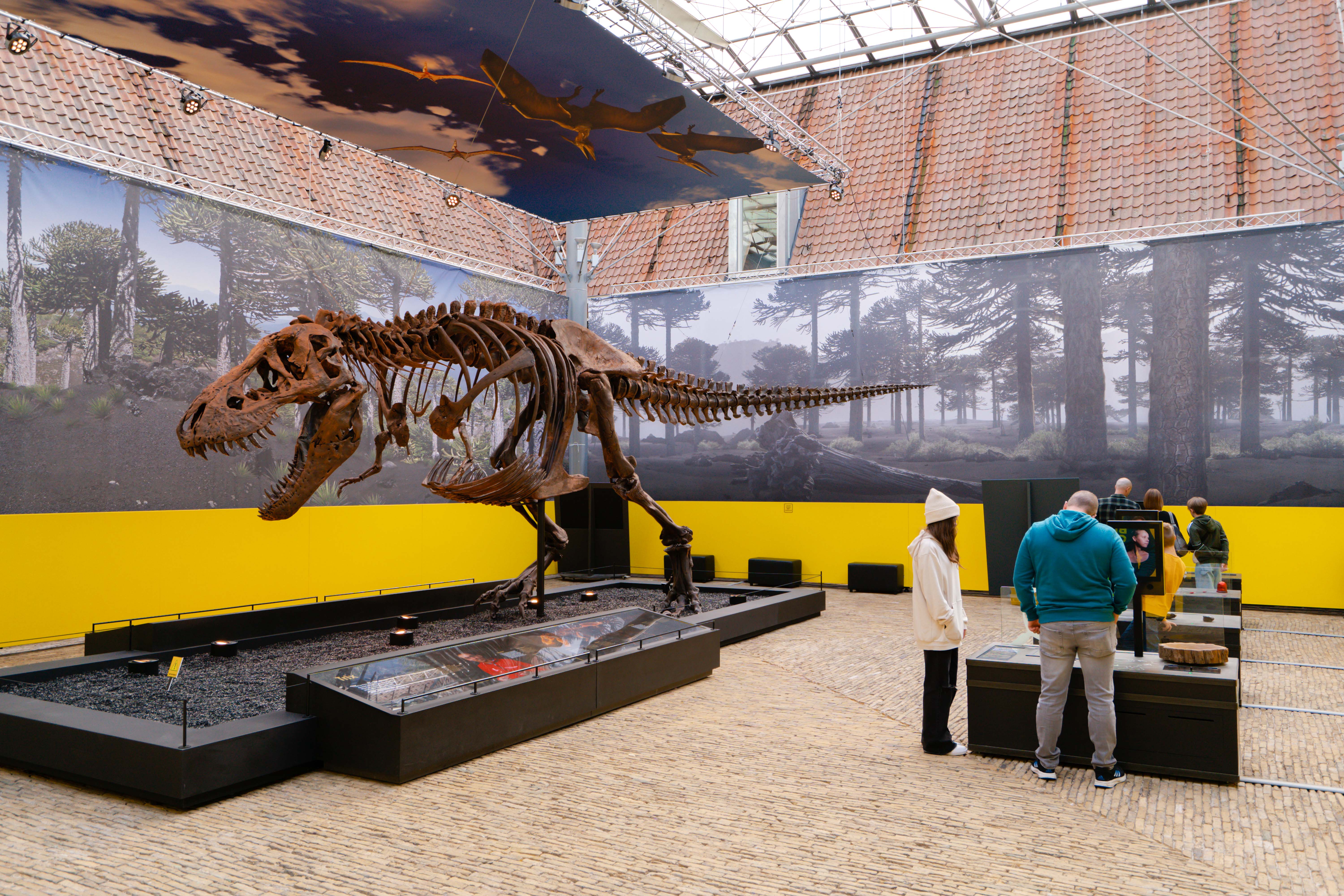 Kom in de kerstvakantie naar Natuurmuseum Fryslân!