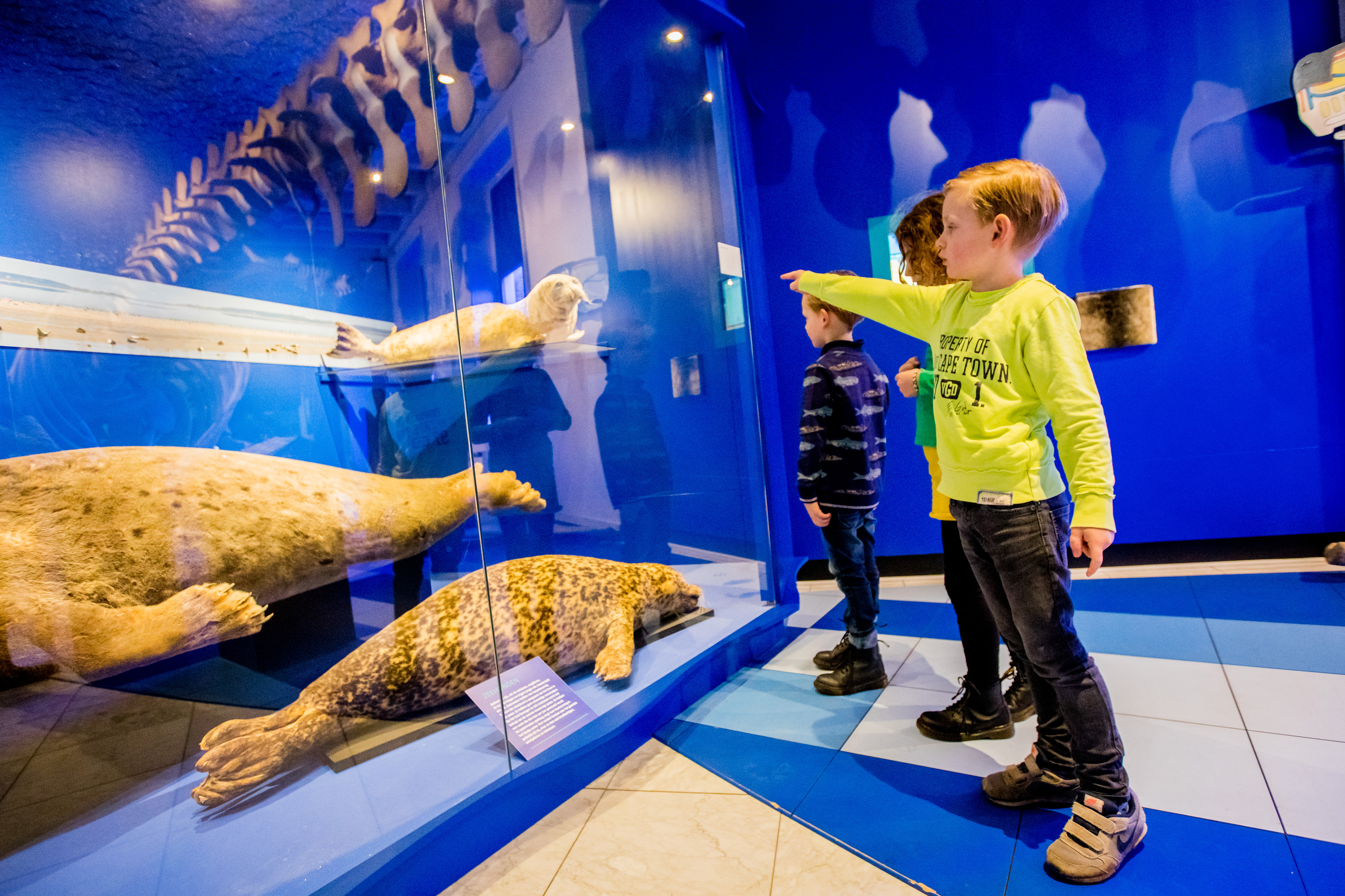Wie jarig is, trakteert: gratis donderdagen in Natuurmuseum Fryslân!