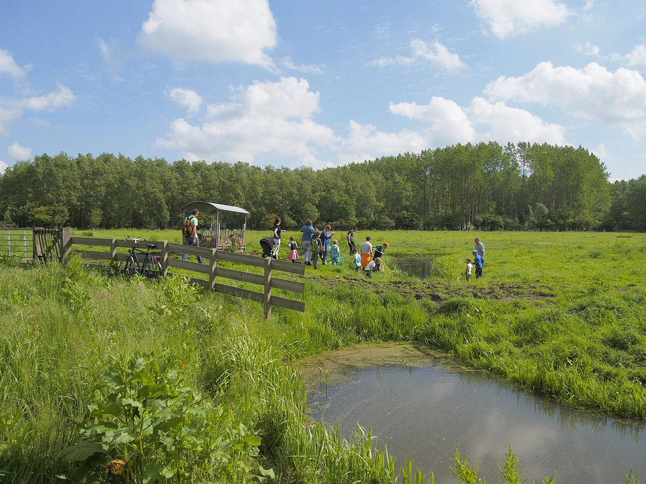 Soorten- & Slootjesdag Leeuwarder bos