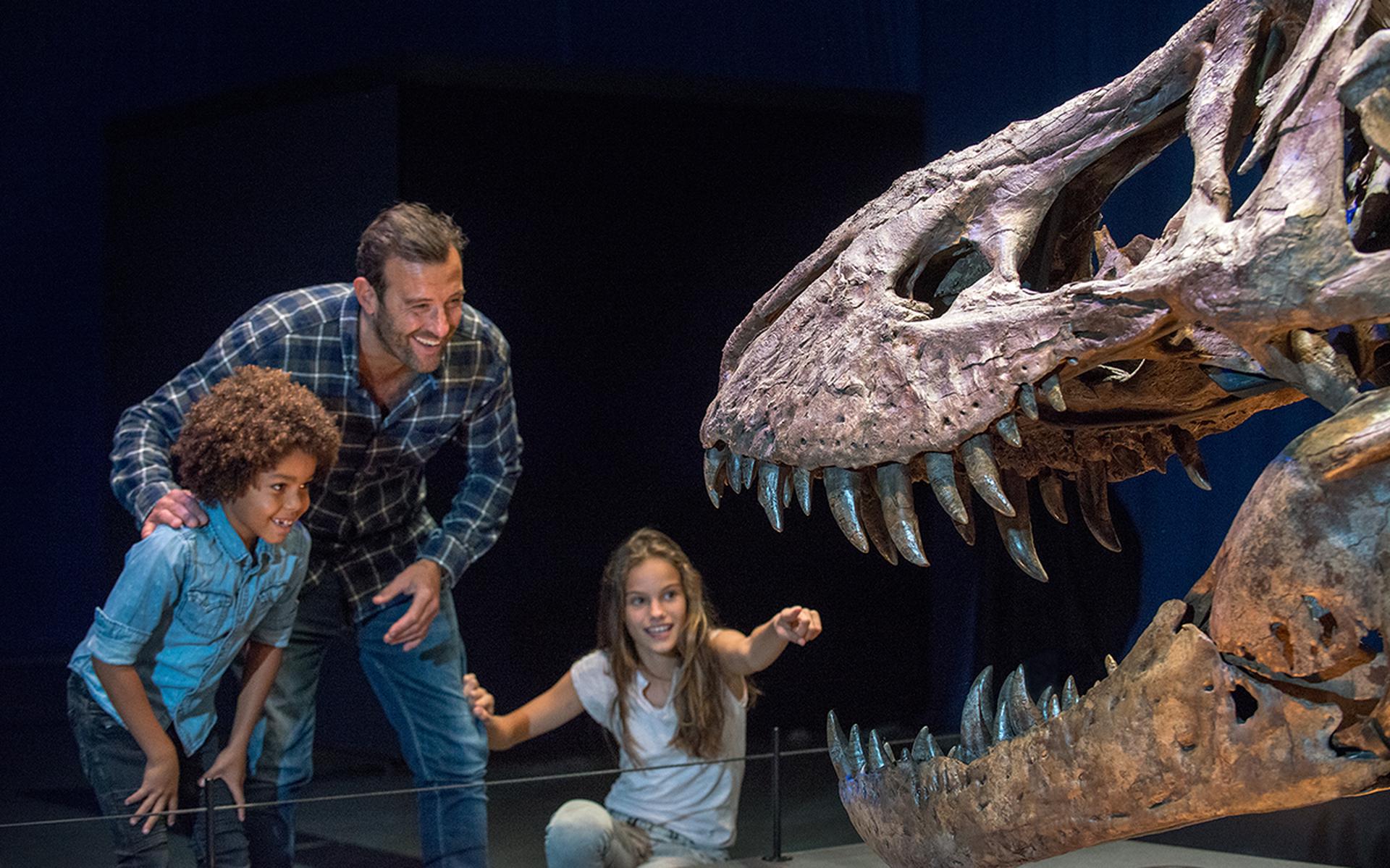 Laatste kans: T. Rex in town in Natuurmuseum Fryslân!