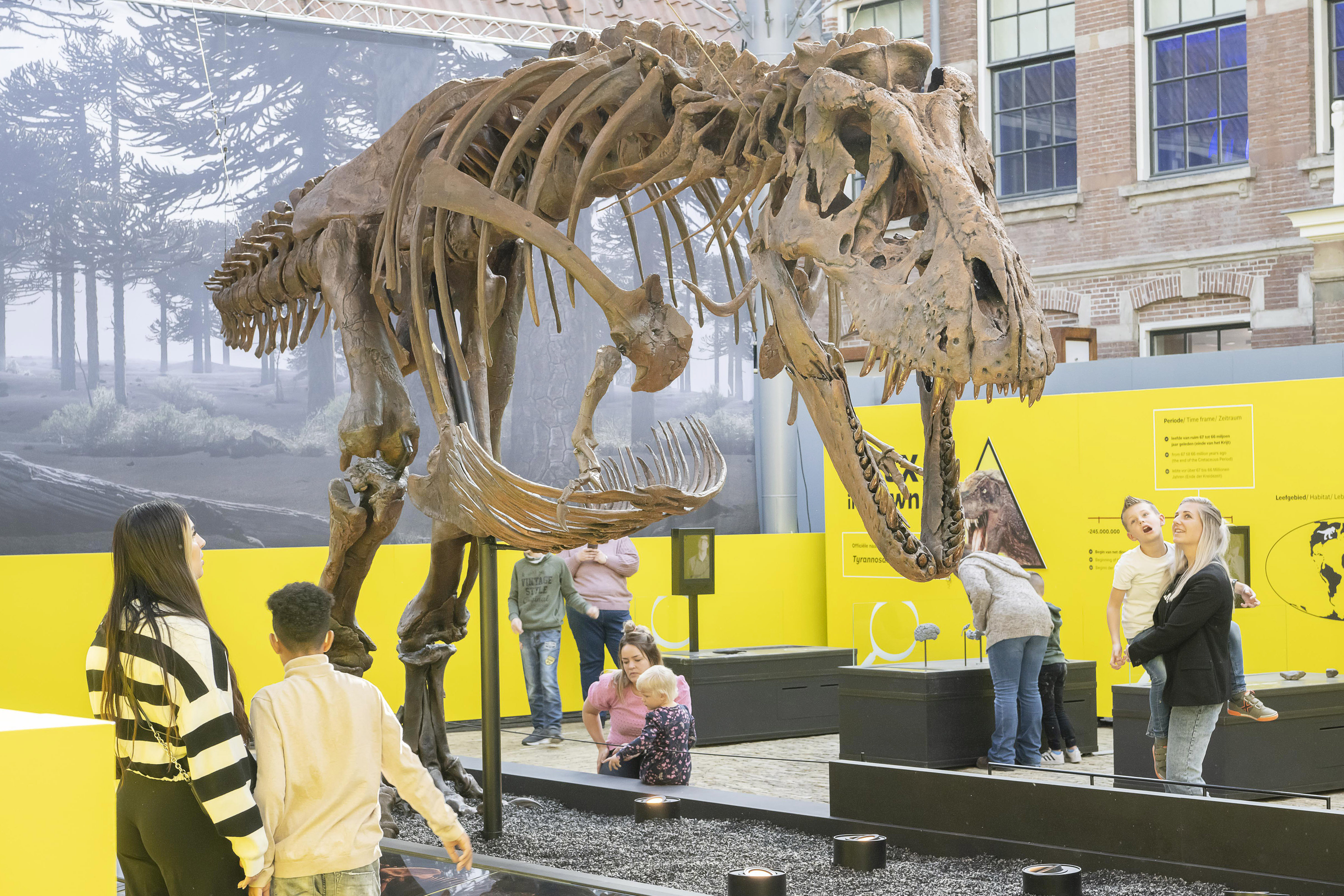 Zomervakantie in Natuurmuseum Fryslân: laatste kans T. rex in Town