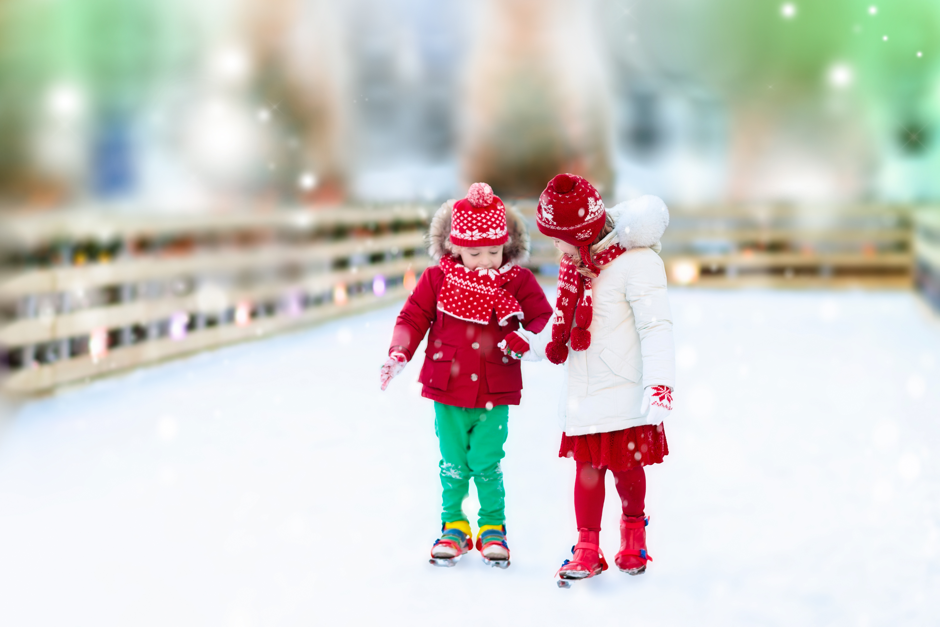 IJsparadijs in het Natuurmuseum Fryslân