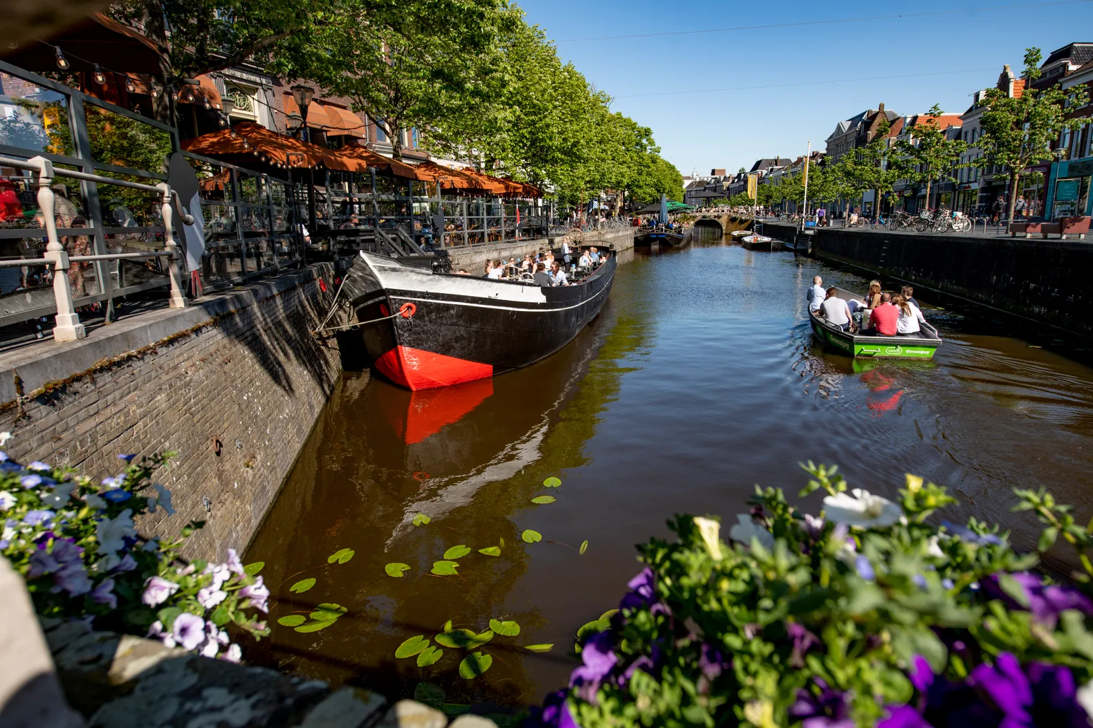 Zomer in Leeuwarden! | Uitagenda